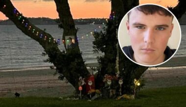 Tyler Porter: Auckland mum petitions for memorial bench for son, council may ‘reassess’ decision