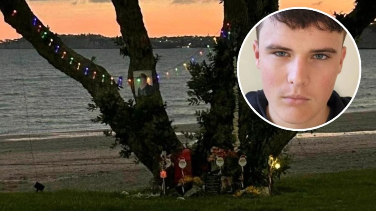 Tyler Porter: Auckland mum petitions for memorial bench for son, council may ‘reassess’ decision
