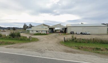 About $3m recovered in liquidation of Gisborne logging company that reportedly owed creditors $7.1m