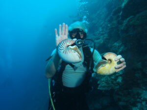 A scuba diver holds a Nautilus species in one hand and an Allonautilus species in the other hand