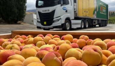 Sun-ripened flavour, grown in NZ