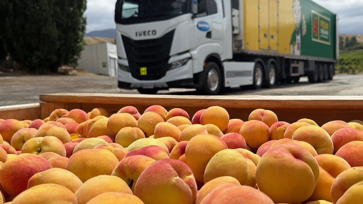 Sun-ripened flavour, grown in NZ