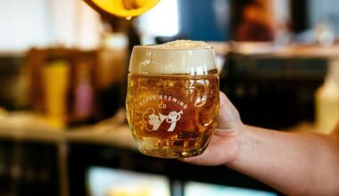 Hawke’s Bay brewers call for beer excise tax reduction to bring people back to pubs