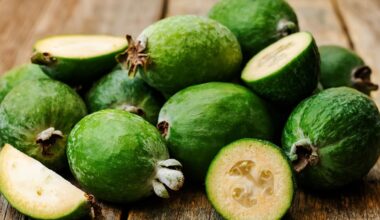 ‘New Zealand Fruit’ – why I’m renaming the feijoa: Glenn Dwight