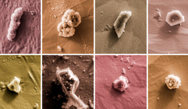 What Crystals Older Than the Sun Reveal About the Start of the Solar System