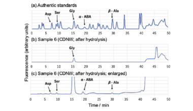 Proton Irradiation of Primitive Atmospheres of Young Exoplanets And Early Earth: N2O Greenhouse Warming And Prebiotic Synthesis