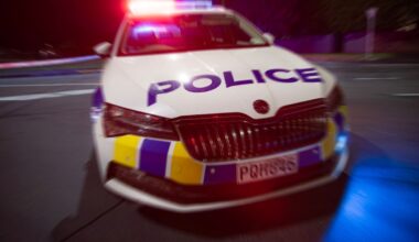 Man in custody after large police presence reported in Dunedin