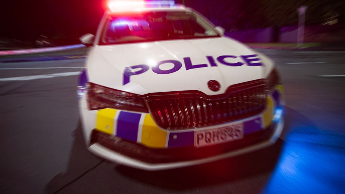 Man in custody after large police presence reported in Dunedin