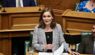 National’s Katie Nimon confirms bid to retain Napier seat