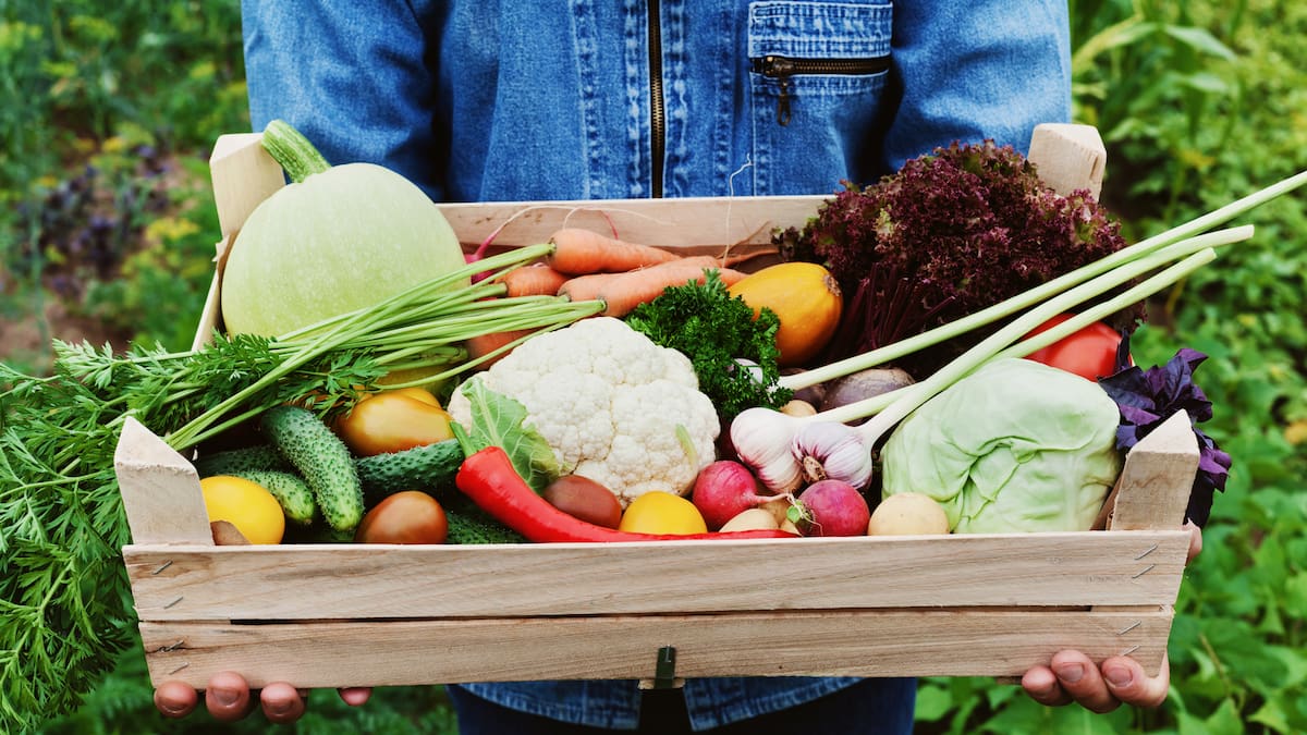 Food prices explained: Who really benefits from what we eat – Dr Jacqueline Rowarth