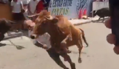Running of the bulls horror in Peru as leaping bull floors festival-goer