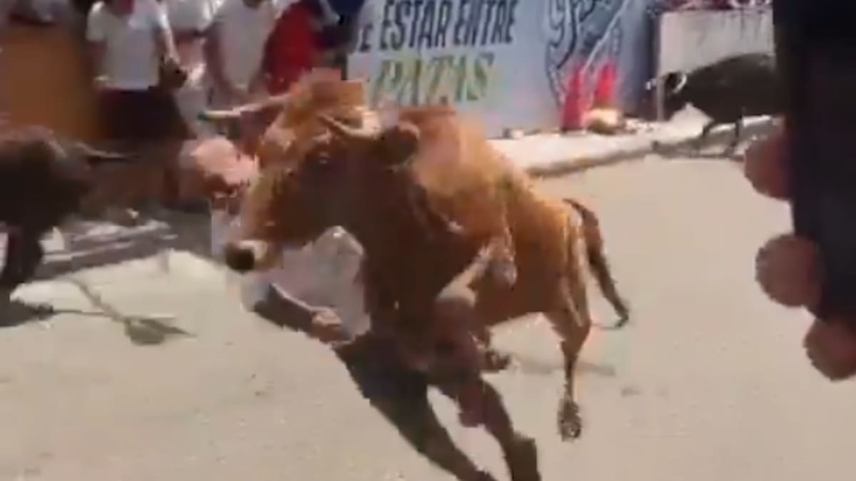 Running of the bulls horror in Peru as leaping bull floors festival-goer