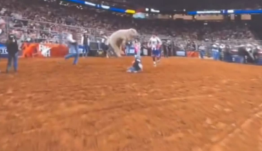 Sheep jumps on 5-year-old girl in Mutton Bustin’ rodeo event in Texas