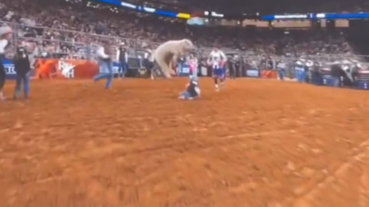 Sheep jumps on 5-year-old girl in Mutton Bustin’ rodeo event in Texas