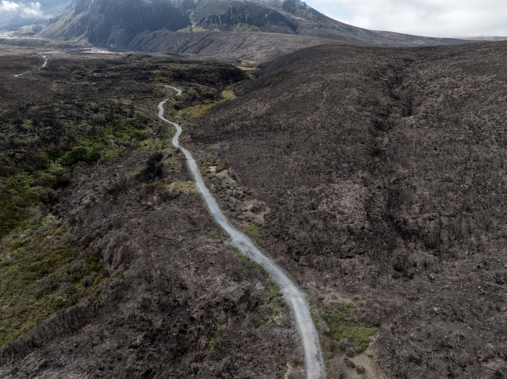 The iconic Tongariro Alpine Crossing winds its way through the charred landscape. Photo / Mike Scott