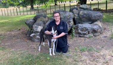 Central Hawke’s Bay greyhound rehoming service’s 12 employees ‘living in hell’ at impending shutdown of industry