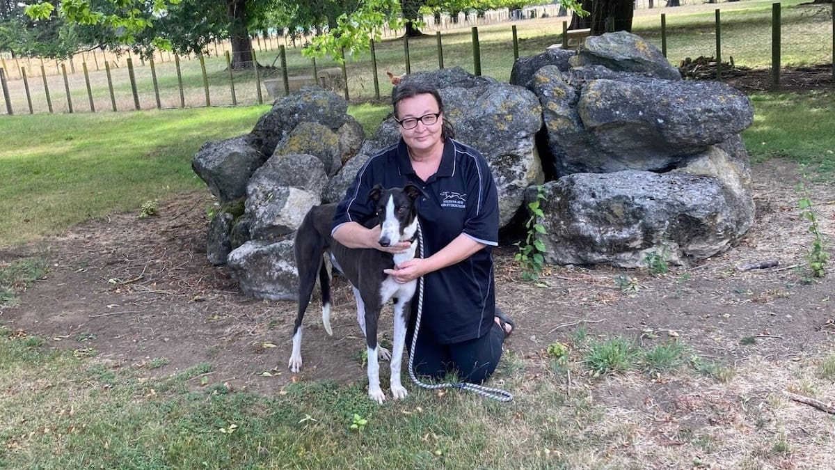 Central Hawke’s Bay greyhound rehoming service’s 12 employees ‘living in hell’ at impending shutdown of industry