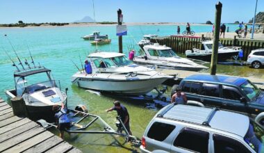 Whakatāne council proposes new cremation, boat ramp, dog and roading charges