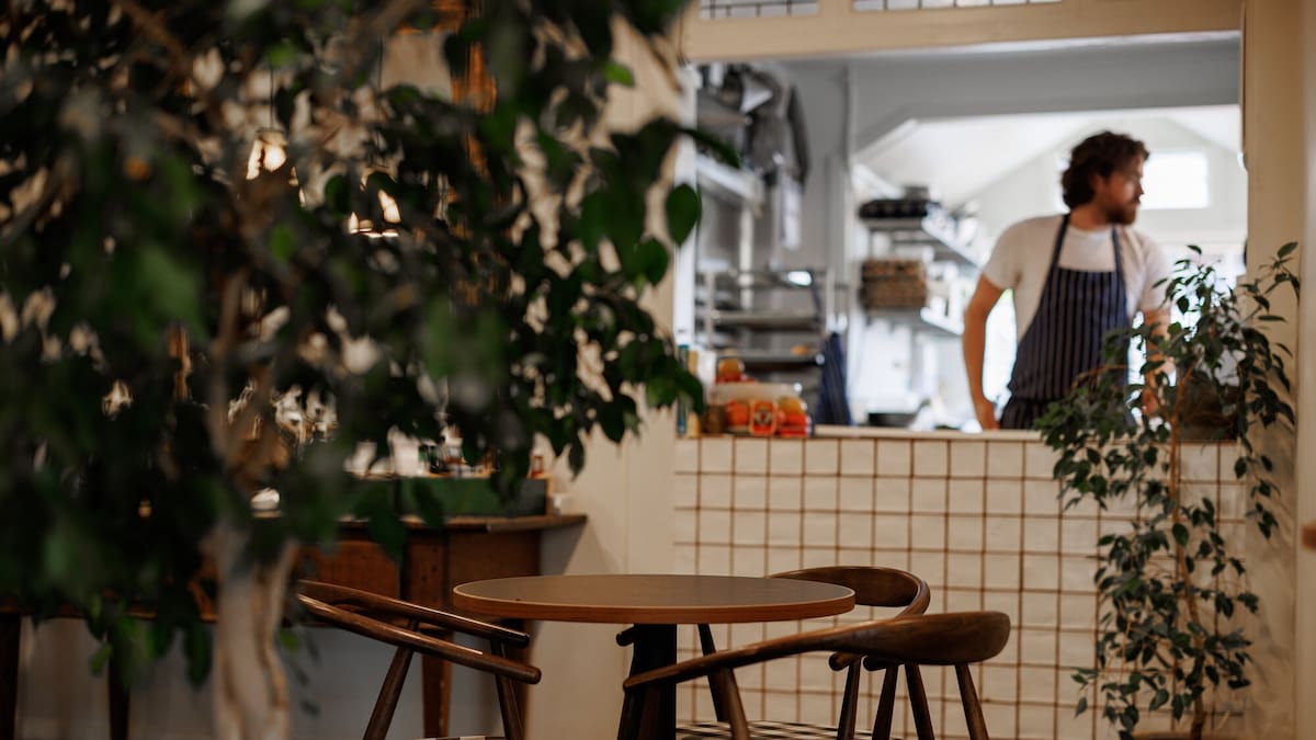 Jesse Mulligan Review: Agnes In Birkenhead Is Another Brilliant Opening In Auckland’s Hottest Dining Neighbourhood