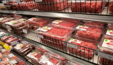 Beef prices are up – what to use instead of mince (and when not to swap)