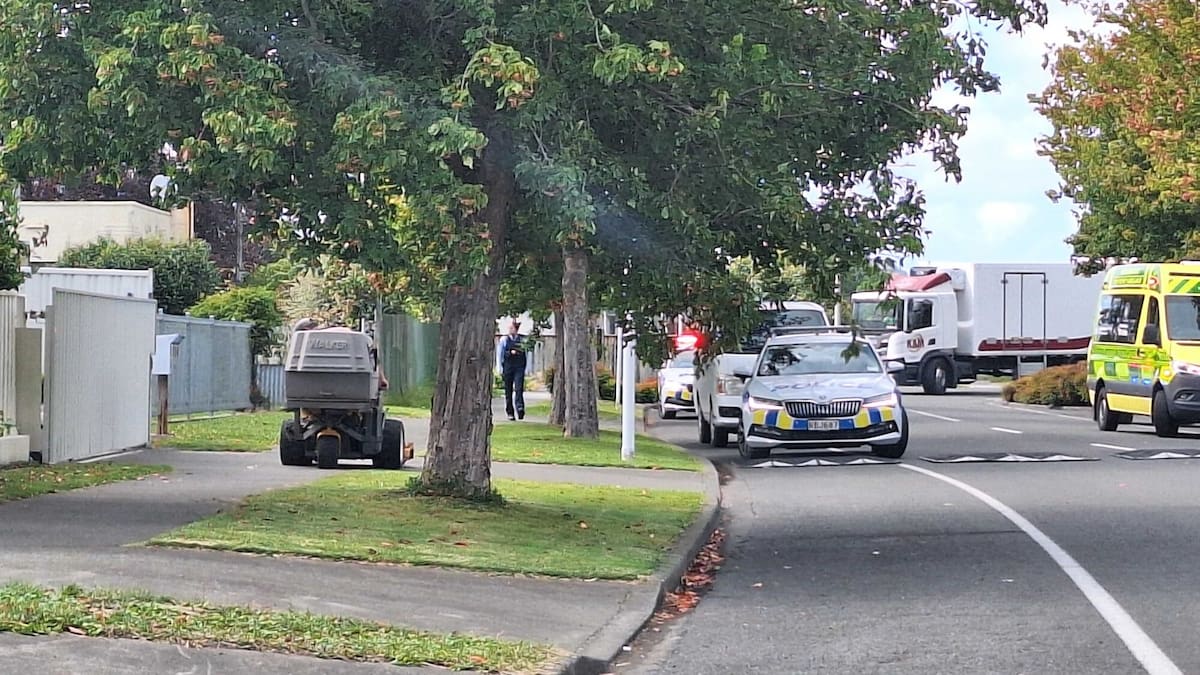 Hastings fence damaged in stolen lawnmower crash, man and woman in custody
