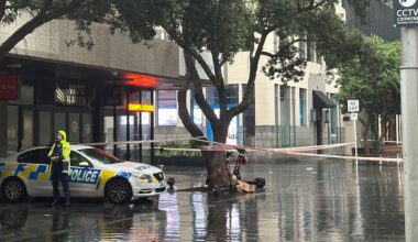 Declan Vaikele sentenced for shooting stranger on Auckland Central’s Fort St