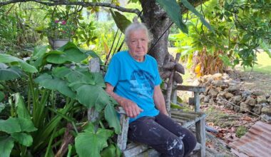 Whangārei retiree’s treasured Bali pots stolen in garden ornament theft