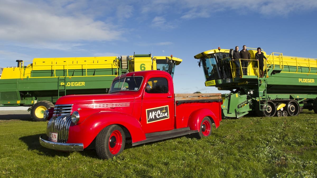 McCain plant closure at Hastings follows $17m loss and soaring related-party loans