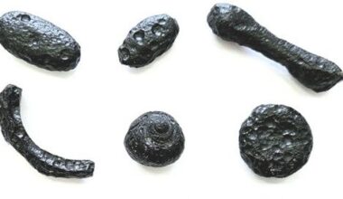 Six black rock-like objects in different shapes.