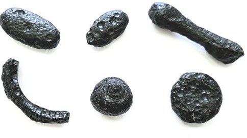 Six black rock-like objects in different shapes.