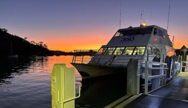 Fullers ferry rescues woman from water near Auckland Harbour Bridge