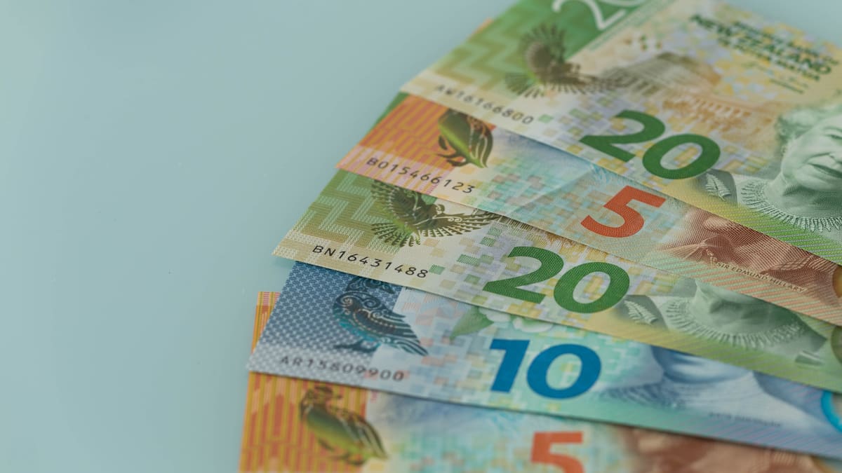 Fitch puts New Zealand AA+ rating on negative outlook over rising debt