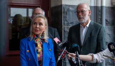 Auckland council savings plan targets $106m to hold rates at 7.9% - Desley Simpson