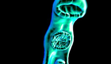 Precision mapping identifies household hotspots of schistosomiasis