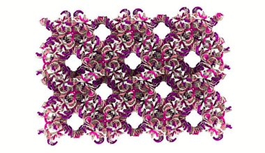 Scientists Form Complex DNA Structures Without Hydrogen Bond