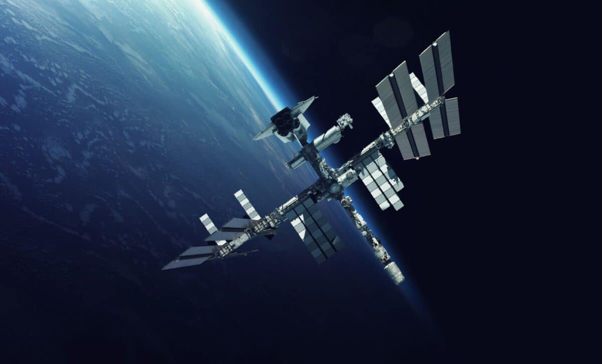 Scientists Have Just Discovered What Happens To Muscles In Space, And They Did It By Sending 24 Mice Into Orbit