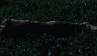 Secret Agent Hairy Leg