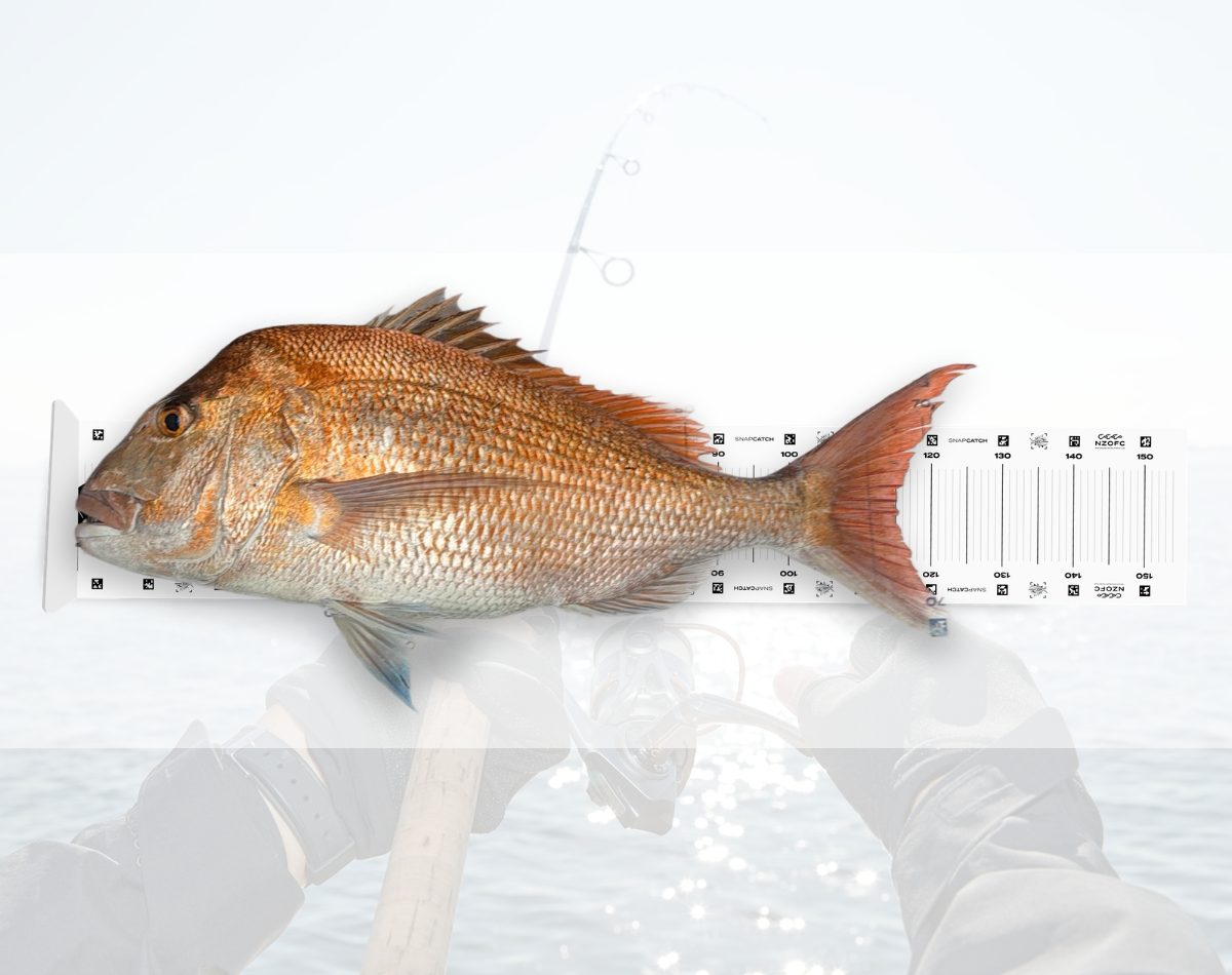 SnapCatch Fishing Competition launches: Catch – Snap – Compete – Connect