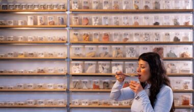 Could eating earth and soil be the key to good health?