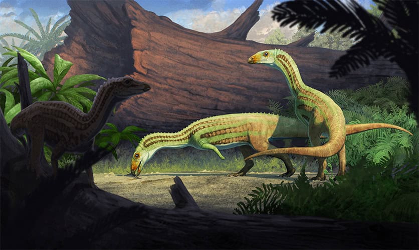 Illustration of extinct crocodile relative species from the Triassic. Two individuals standing in light and one in the shadow of a plant. Sonselasuchus