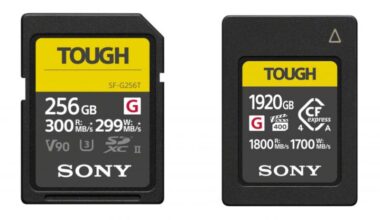 Sony Cards