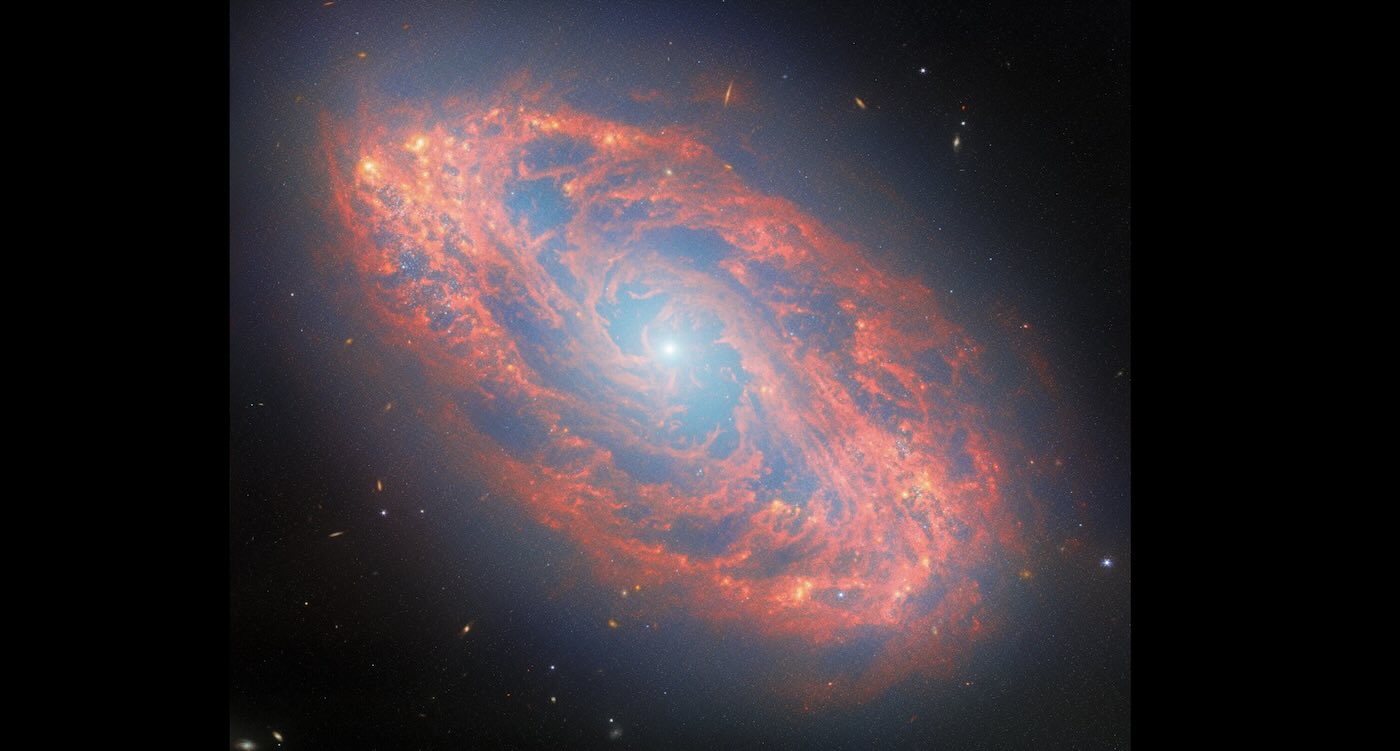 Jaw-Dropping Image of Spiral Galaxy Captured Light Traveling Since the T. Rex Era–Thanks to Webb Telescope