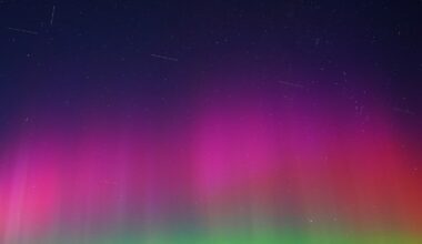 A Million New SpaceX Satellites Will Destroy the Night Sky — For Everyone on Earth