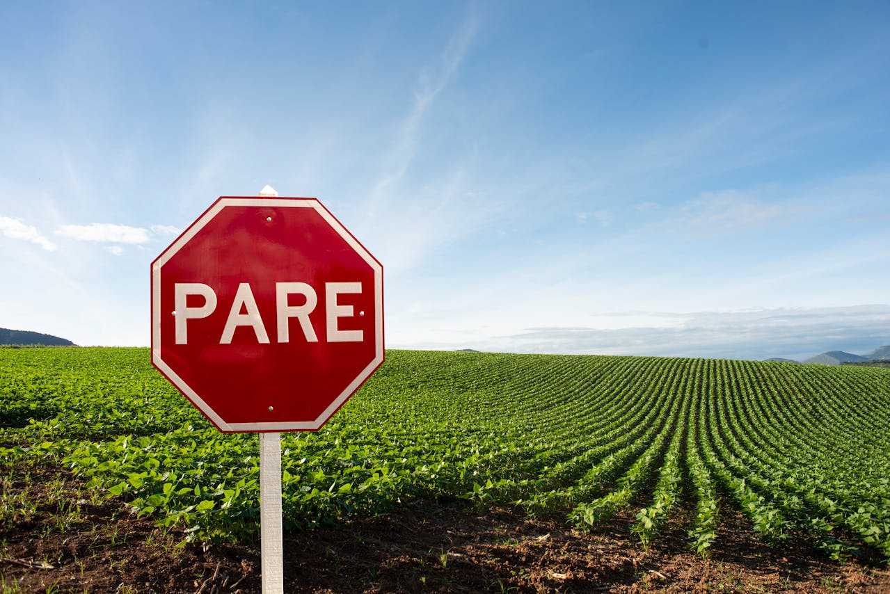 Brazil sector hits back at President Lula’s call for a betting ban