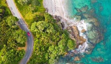 The No. 1 Tip for Travelers Visiting New Zealand