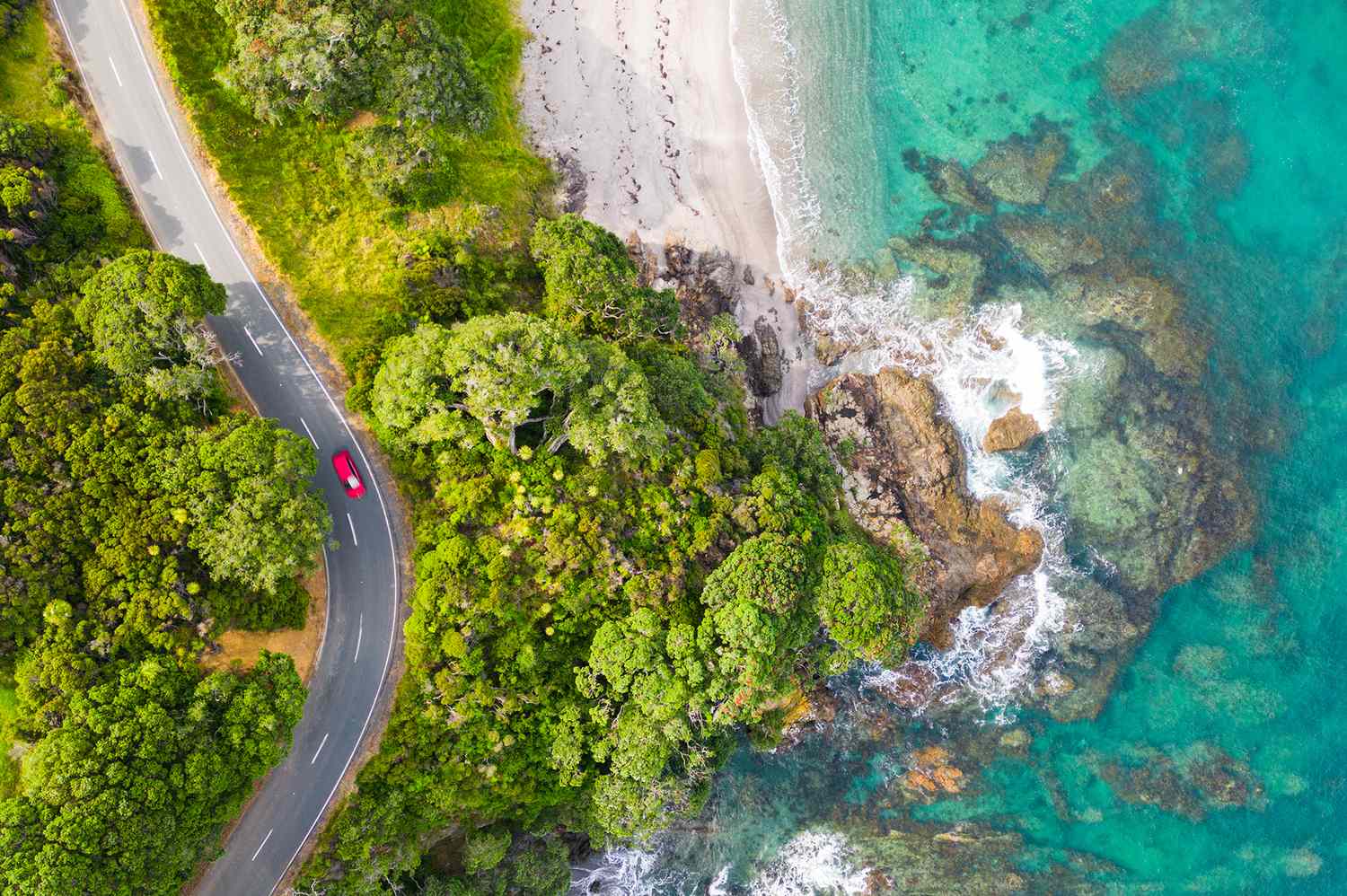 The No. 1 Tip for Travelers Visiting New Zealand