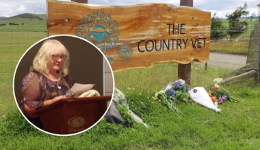 Dunedin High Court: Malcolm Duff denies murdering partner Jillian Clark