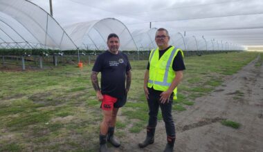 The sweet spot: Inside an iwi’s fast-growing berry enterprise near Whanganui