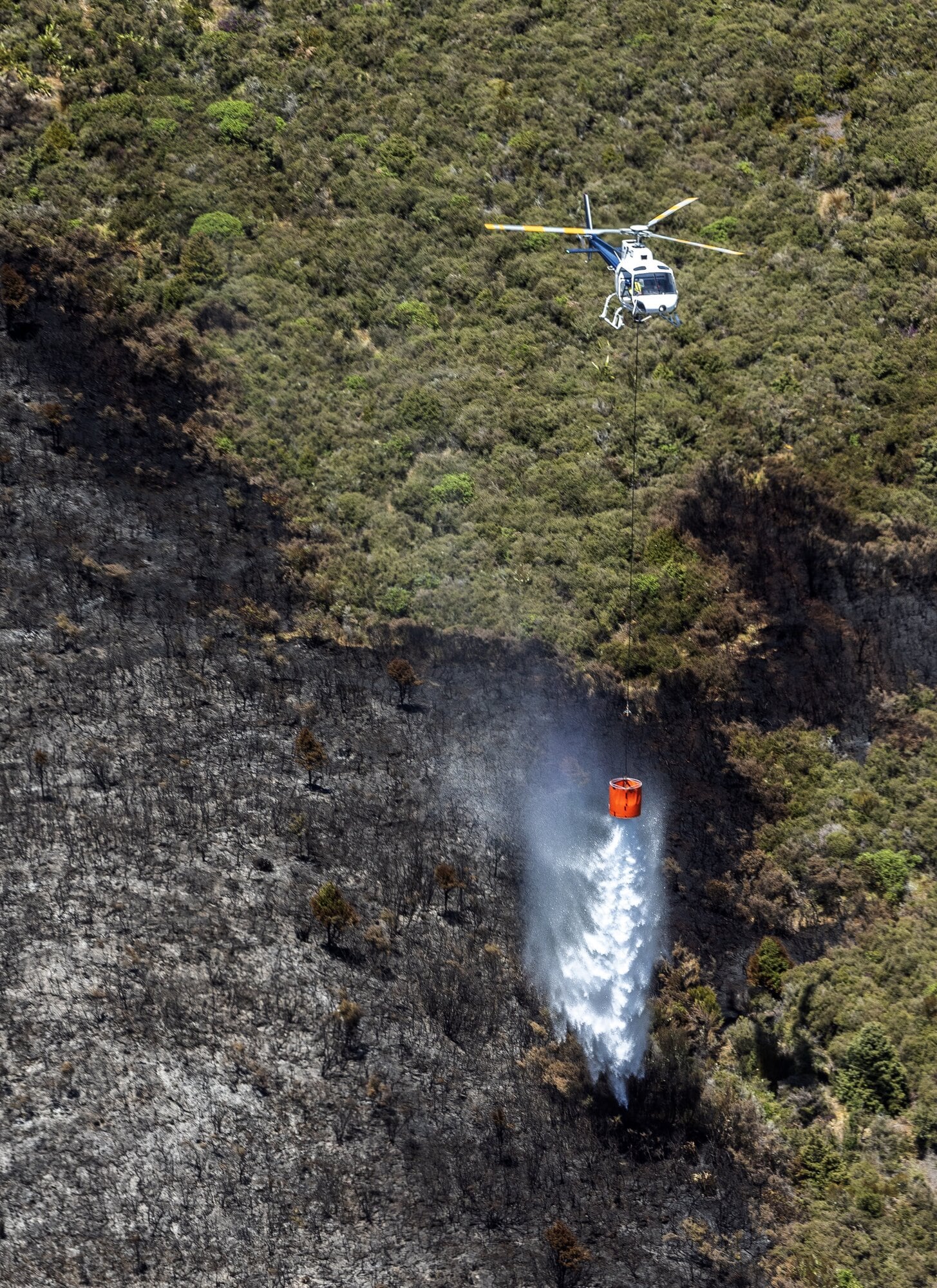 A helicopter dampens down scorched bush in Tongariro National Park in December last year after the second fire in the area within a month. Photo / Mike Scott