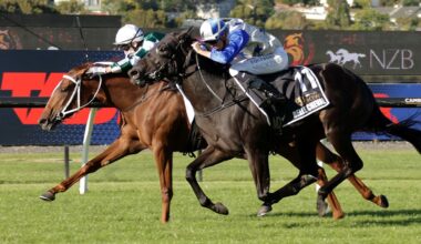 Ellerslie delivers remarkable day of drama on and off the track